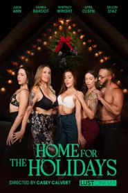 فيلم Home for the Holidays 2022 للكبار فقط اون لاين