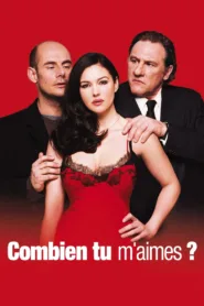 فيلم How Much Do You Love Me? 2005 مترجم اون لاين