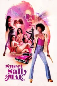 فيلم Sally Mae: Revenge Of The Twin Dragons The 2022 للكبار فقط اون لاين